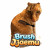 Brush Jjaemu Brush Jjaemu